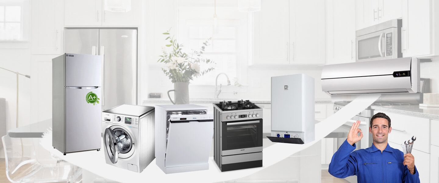 Pancar Warmhaus Servisi